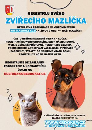 Plakát 